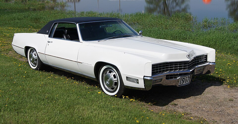 Albany Buccaneer