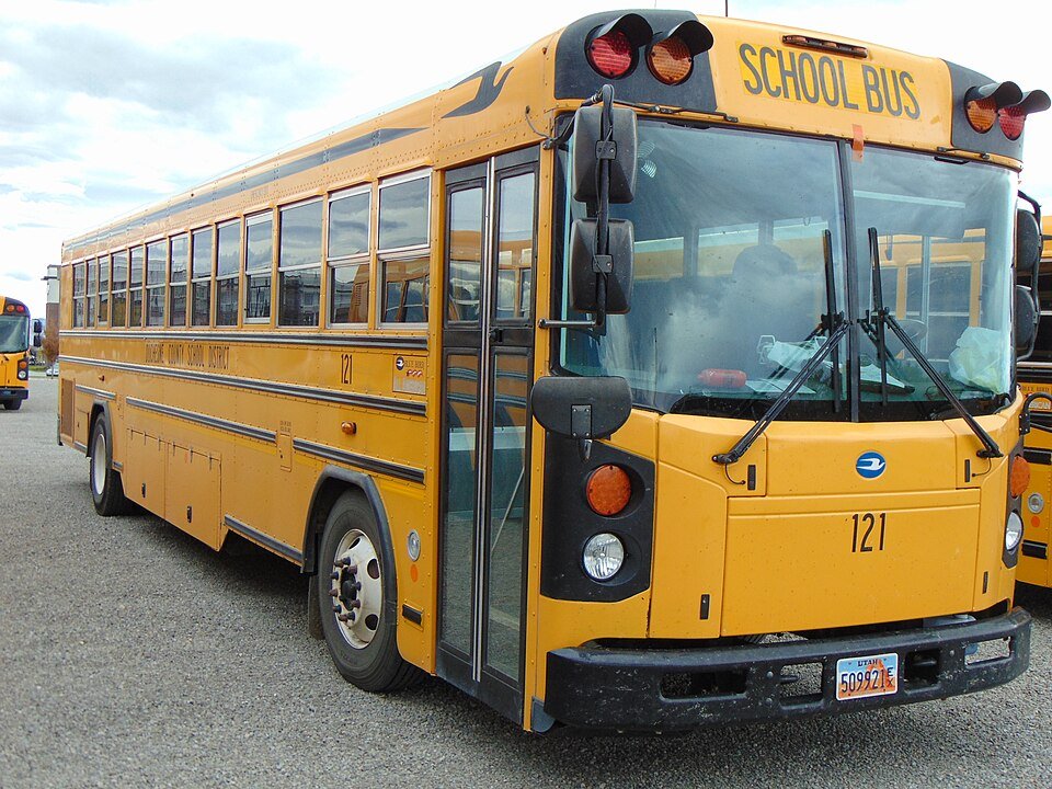 Brute Brute Bus